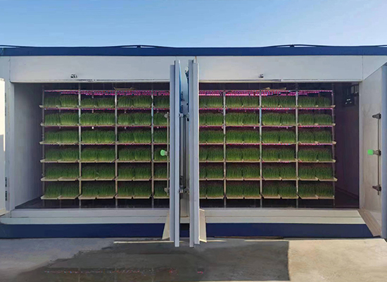 吉林春光集團牧草工廠